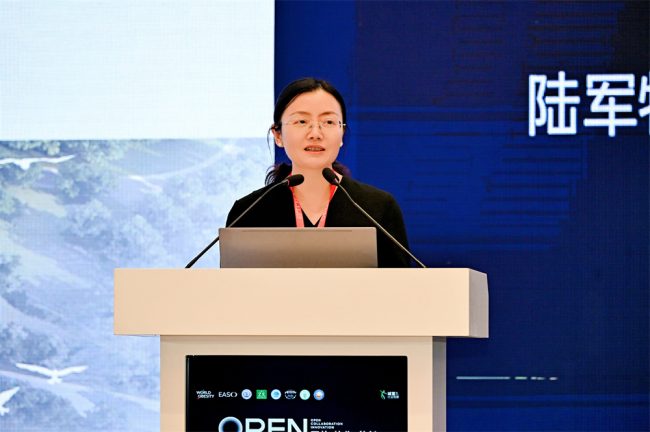 1763704583-593015b0d479d82 1763704583-593015b0d479d82