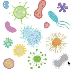 1767866235-b4be92d482647ff